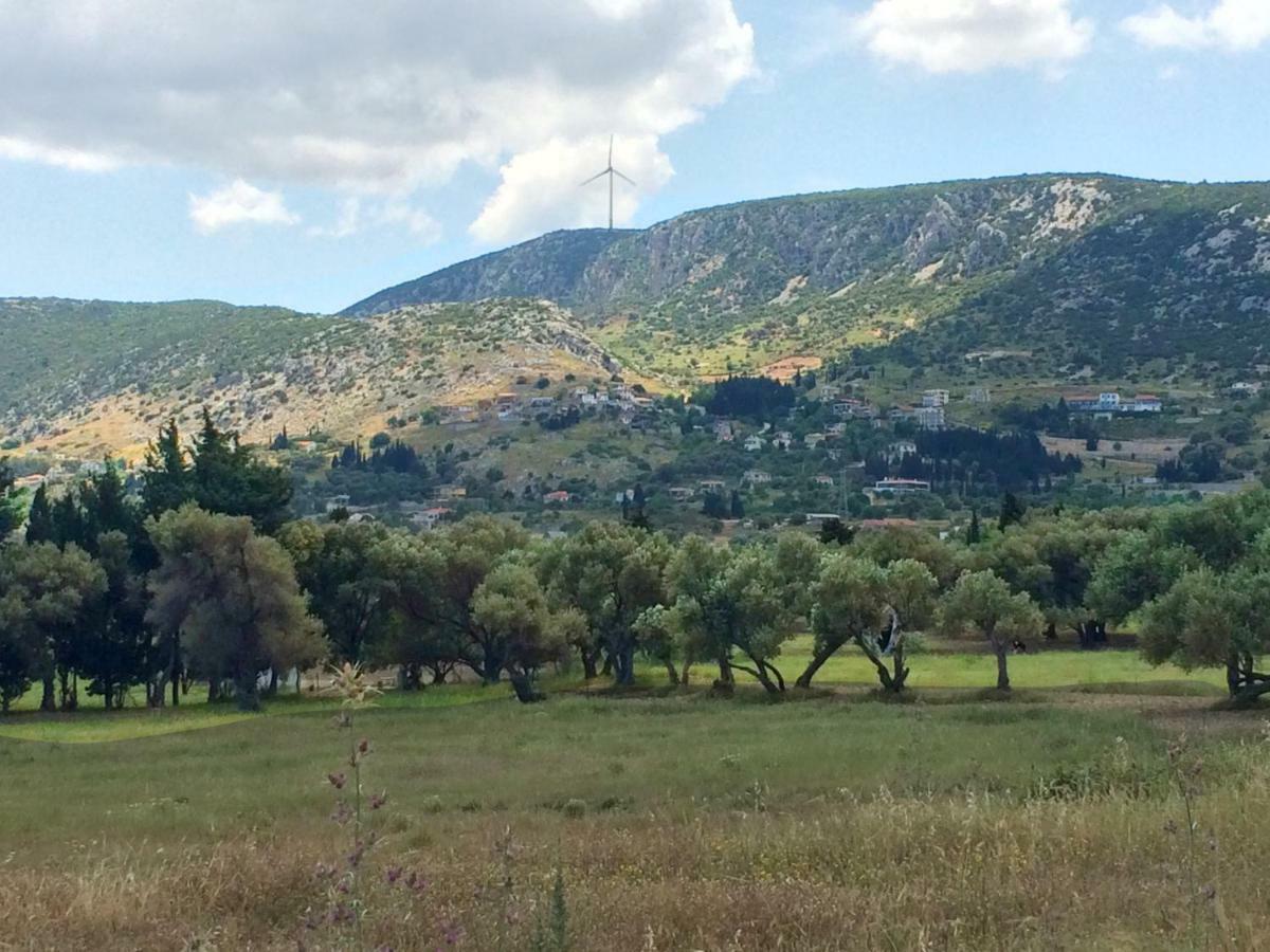Zeytinli Konak Panzió İzmir Kültér fotó